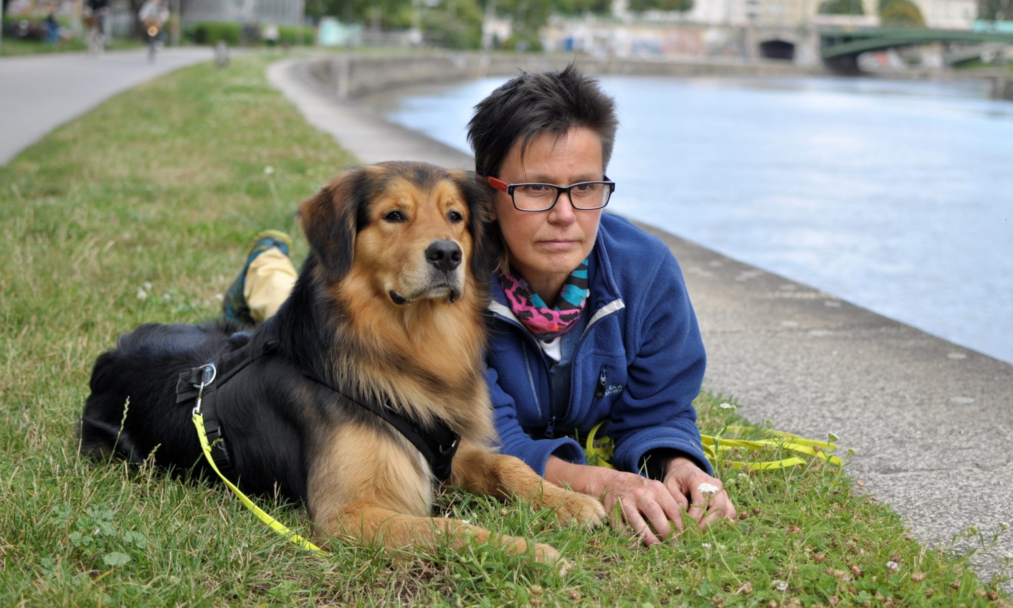 meDOGs - professionelles Coaching für Mensch&Hund | Therapiehundeausbildung